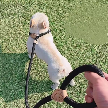 Adjustable Collar Harness Dog Leash Nylon Pet Lead Leash Dog Harness Durable Rope Belt Lightweight Dog Accessories Cat Collar