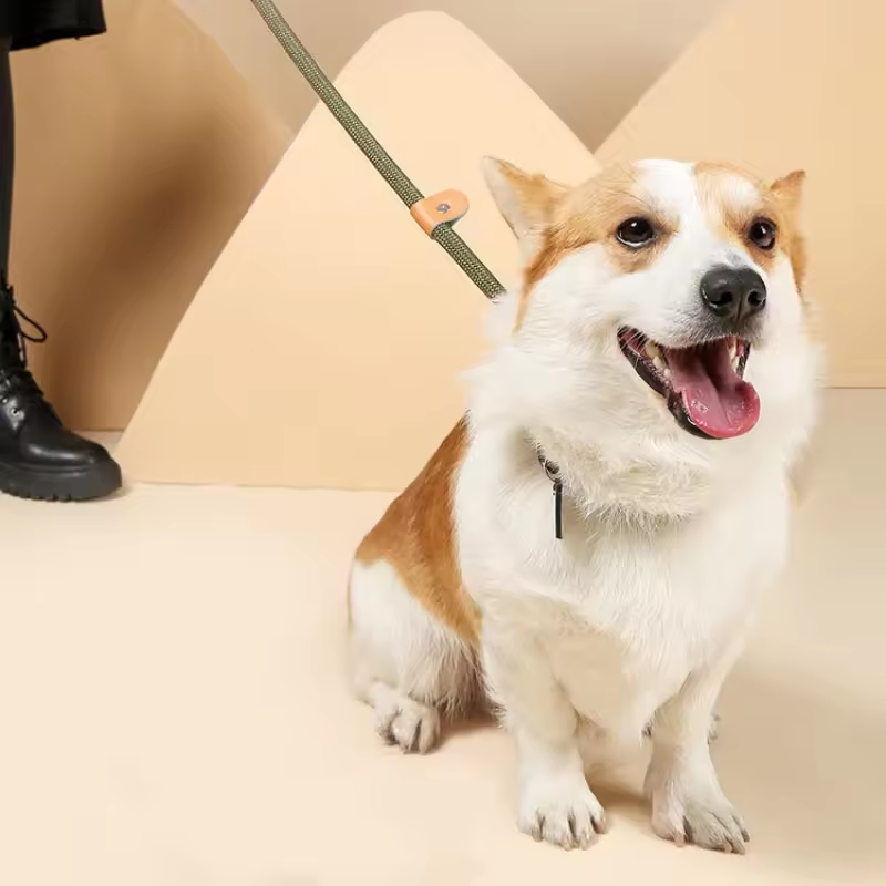Adjustable Collar Harness Dog Leash Nylon Pet Lead Leash Dog Harness Durable Rope Belt Lightweight Dog Accessories Cat Collar