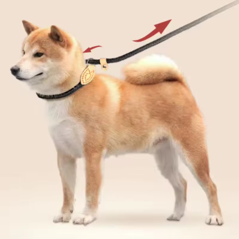 Adjustable Collar Harness Dog Leash Nylon Pet Lead Leash Dog Harness Durable Rope Belt Lightweight Dog Accessories Cat Collar