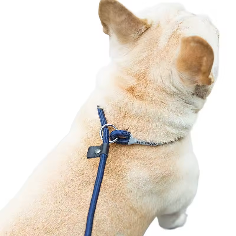 Adjustable Collar Harness Dog Leash Nylon Pet Lead Leash Dog Harness Durable Rope Belt Lightweight Dog Accessories Cat Collar