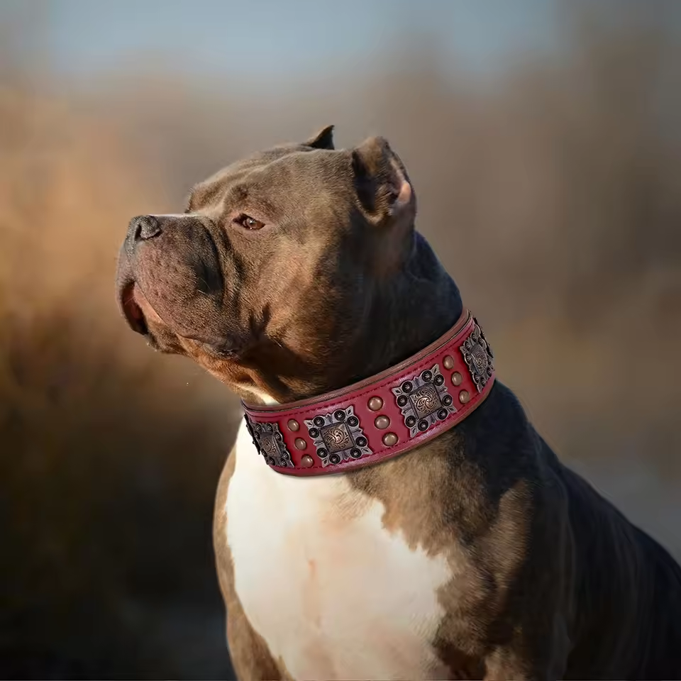 Genuine Leather Dog Collar 2inch Wide Dog Collars Cool Spikes Rivet Collars Luxury for Medium Large Dogs Pitbull German Shepherd