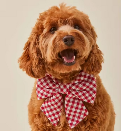 Custom Dog Harness Accessory Set Eco-Friendly Padded Design Personalized Pattern Low MOQ