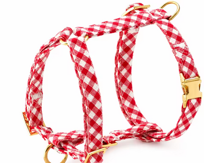 Custom Dog Harness Accessory Set Eco-Friendly Padded Design Personalized Pattern Low MOQ