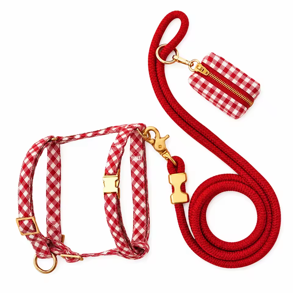 Custom Dog Harness Accessory Set Eco-Friendly Padded Design Personalized Pattern Low MOQ