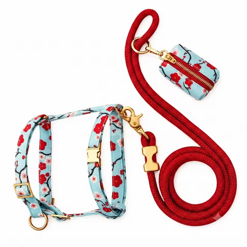 Custom Dog Harness Accessory Set Eco-Friendly Padded Design Personalized Pattern Low MOQ