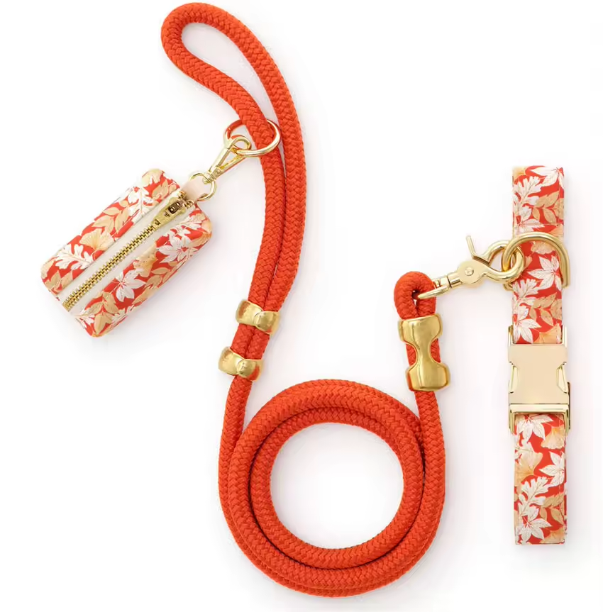 Multiple Colors Rope Long Double Braided Brass Dog Leash for Dogs Pet Traction Rope