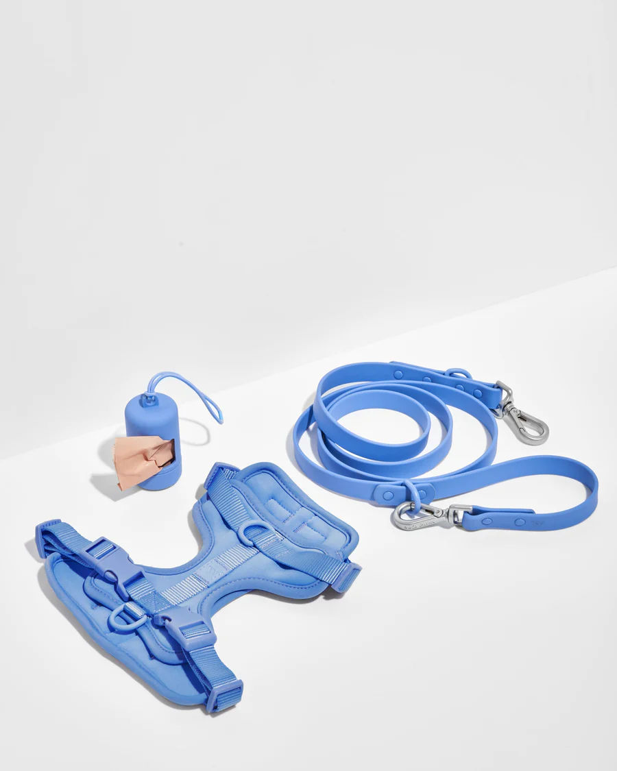 Adjustable Nylon Oxford Pet Leash Set No-Pull Dog Harness Vest Solid Pattern Reflective Ribbons Manufactured Plastic Alloy-Ready