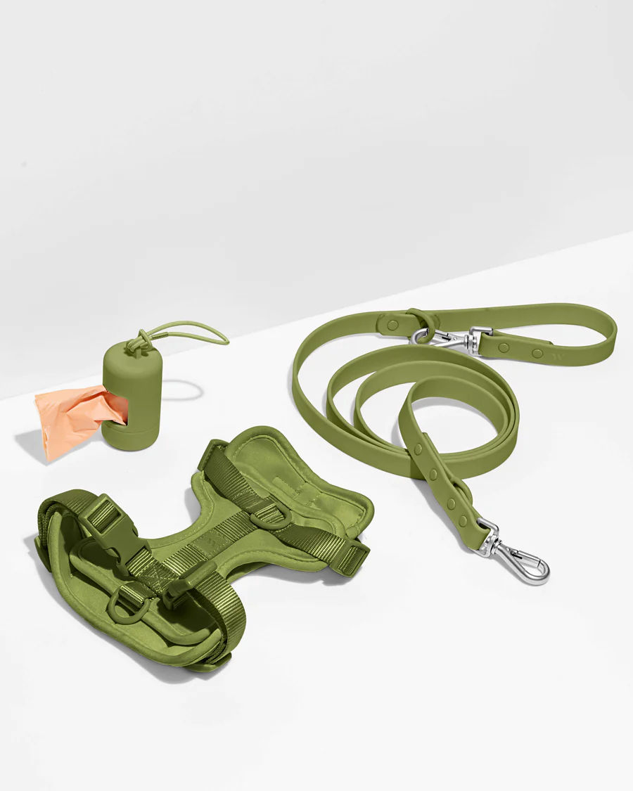 Adjustable Nylon Oxford Pet Leash Set No-Pull Dog Harness Vest Solid Pattern Reflective Ribbons Manufactured Plastic Alloy-Ready