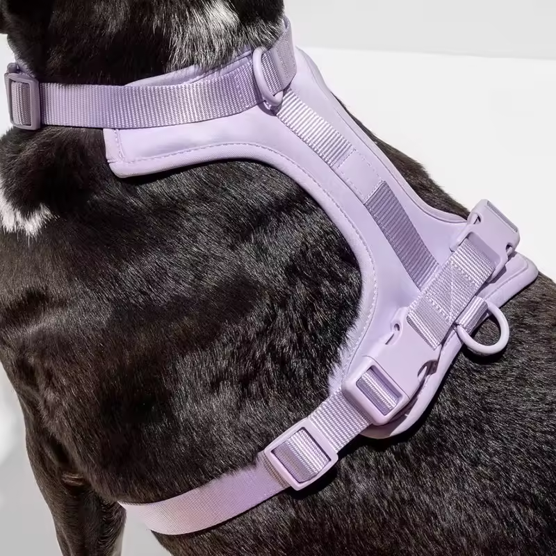 Adjustable Nylon Oxford Pet Leash Set No-Pull Dog Harness Vest Solid Pattern Reflective Ribbons Manufactured Plastic Alloy-Ready
