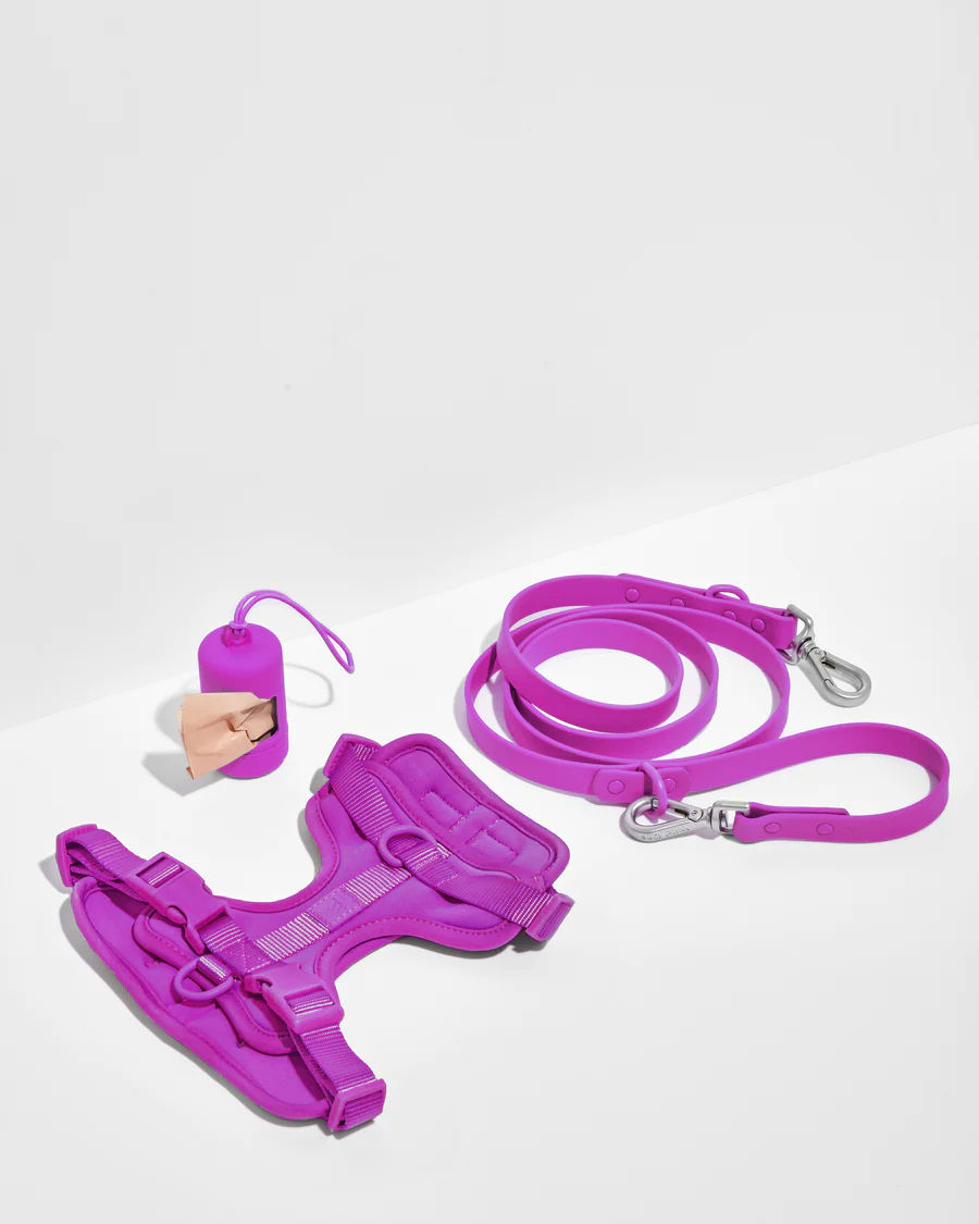 Adjustable Nylon Oxford Pet Leash Set No-Pull Dog Harness Vest Solid Pattern Reflective Ribbons Manufactured Plastic Alloy-Ready