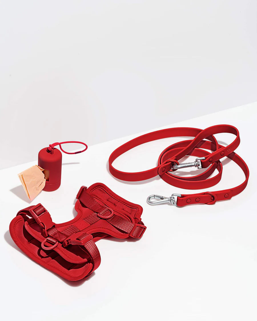 Adjustable Nylon Oxford Pet Leash Set No-Pull Dog Harness Vest Solid Pattern Reflective Ribbons Manufactured Plastic Alloy-Ready